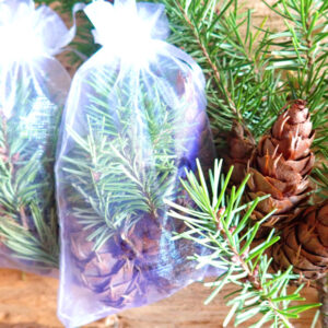 Douglas Fir Pine Cones Sachet Bags (pack of 5)