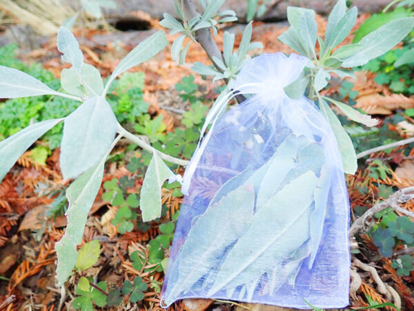 White Sage Sachet Bags (bag of 2) - Image 3