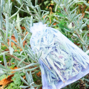 Lavender Leaves Sachet Bags (Bag of 5)