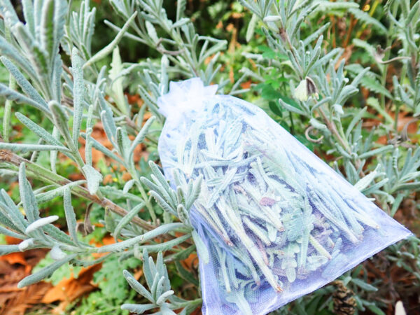 Lavender Leaves Sachet Bags (Bag of 5)