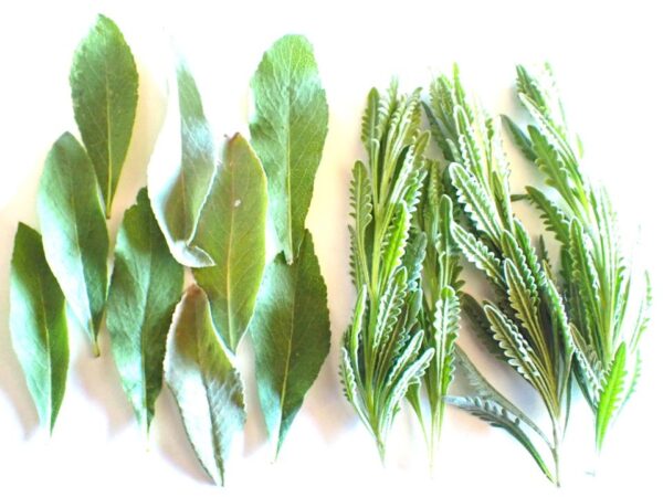 White Sage Lavender Smudge – 5 sticks - Image 3