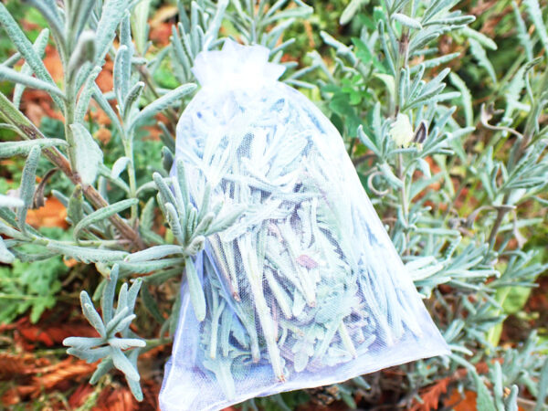 Lavender Leaves Sachet Bags (Bag of 5) - Image 2
