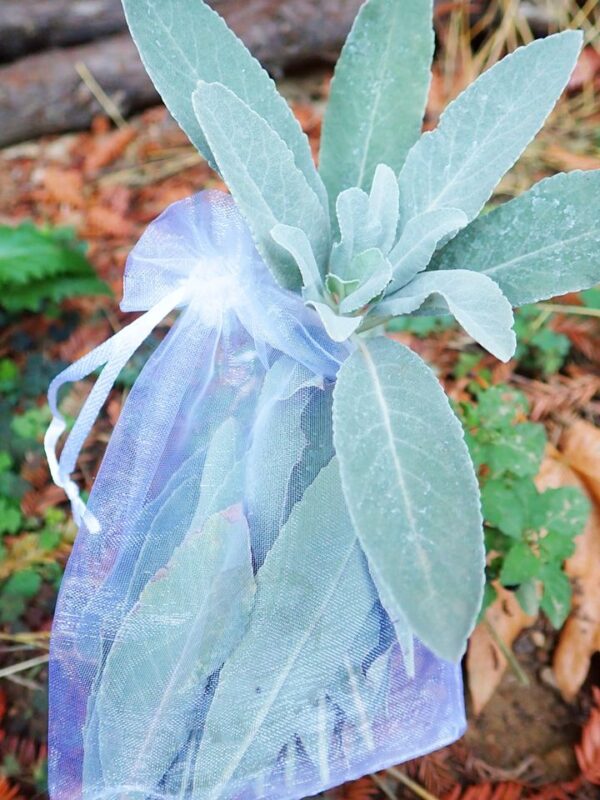 White Sage Sachet Bags (bag of 2) - Image 4