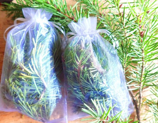 Douglas Fir Leaves Sachet Bags (pack of 5)